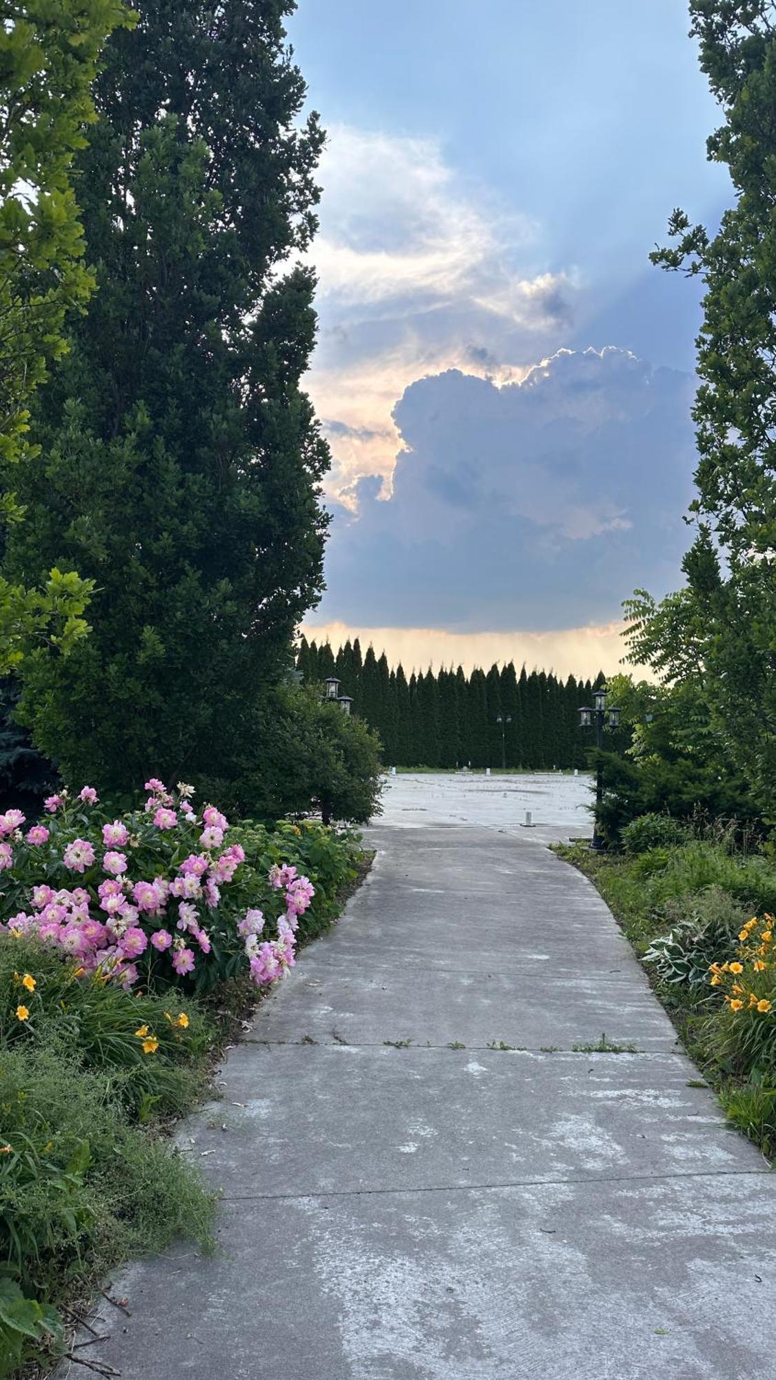 Stone Willow Inn Saint Marys Dış mekan fotoğraf