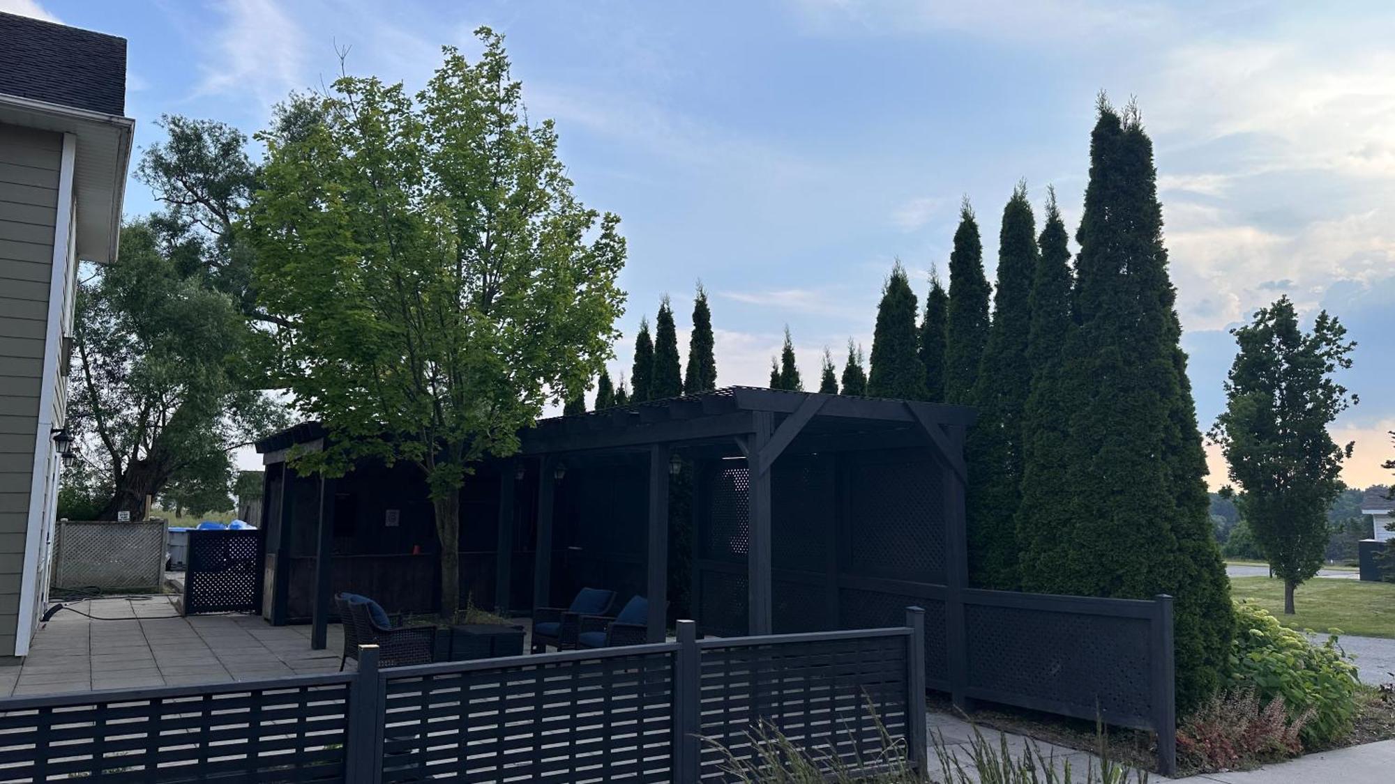 Stone Willow Inn Saint Marys Dış mekan fotoğraf